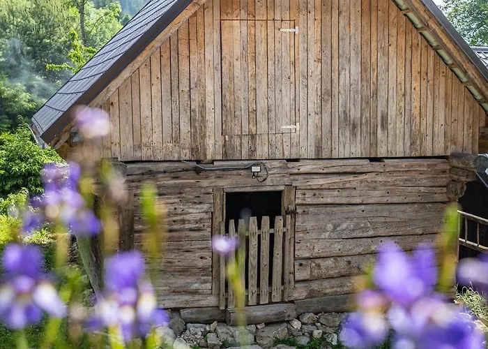 Pod Rozsutcom - Zatkov Dvor *